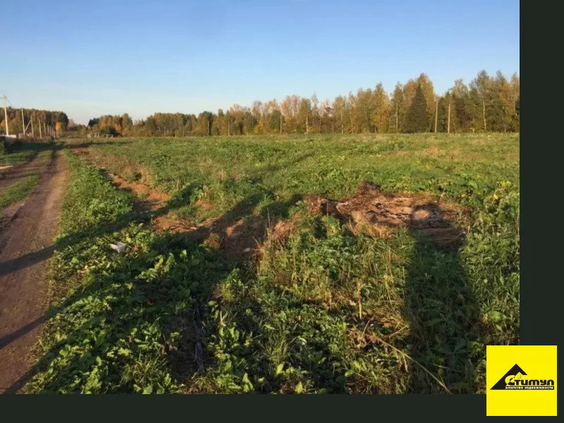 Продажа участка, Воронцовка, Ейский район, Свердлова ул. - Фото 1