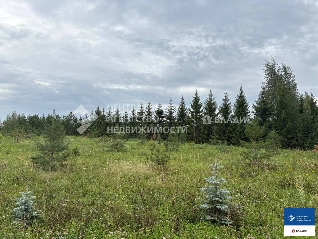 Продажа участка, Дубняки, Рязанский район, Солнечная улица - Фото 15