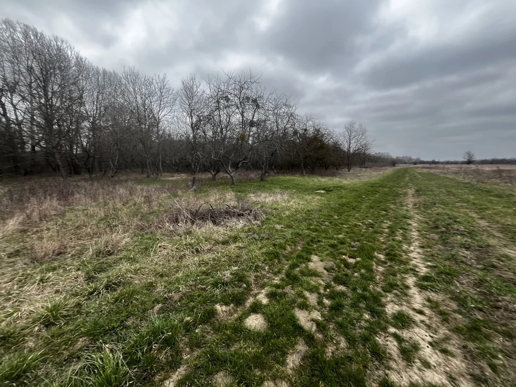 Продажа участка, Смоленская, Северский район - Фото 4