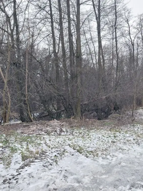 1-к.п.Родники,ул.Заречная, д.4А - Фото 13