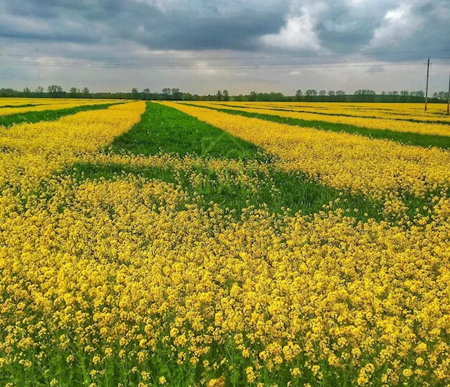 Продажа земельного участка, Батайск - Фото 0