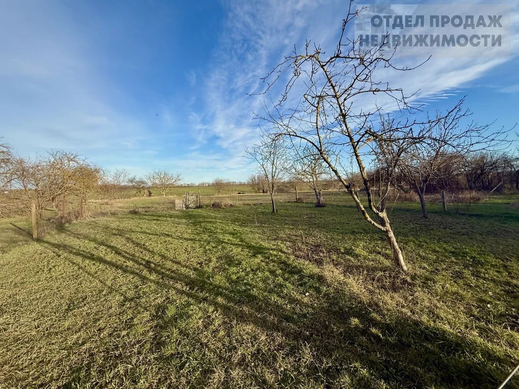 Дом с большим земельным участком - Фото 20