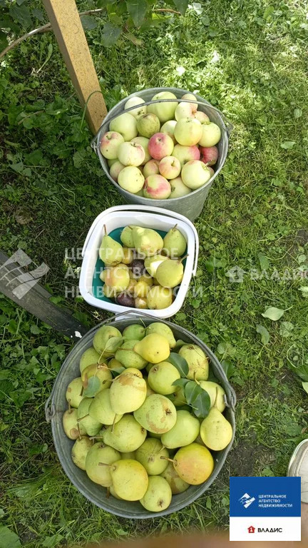 Продажа дома, Федоровка, Михайловский район, ул. Новый поселок - Фото 15