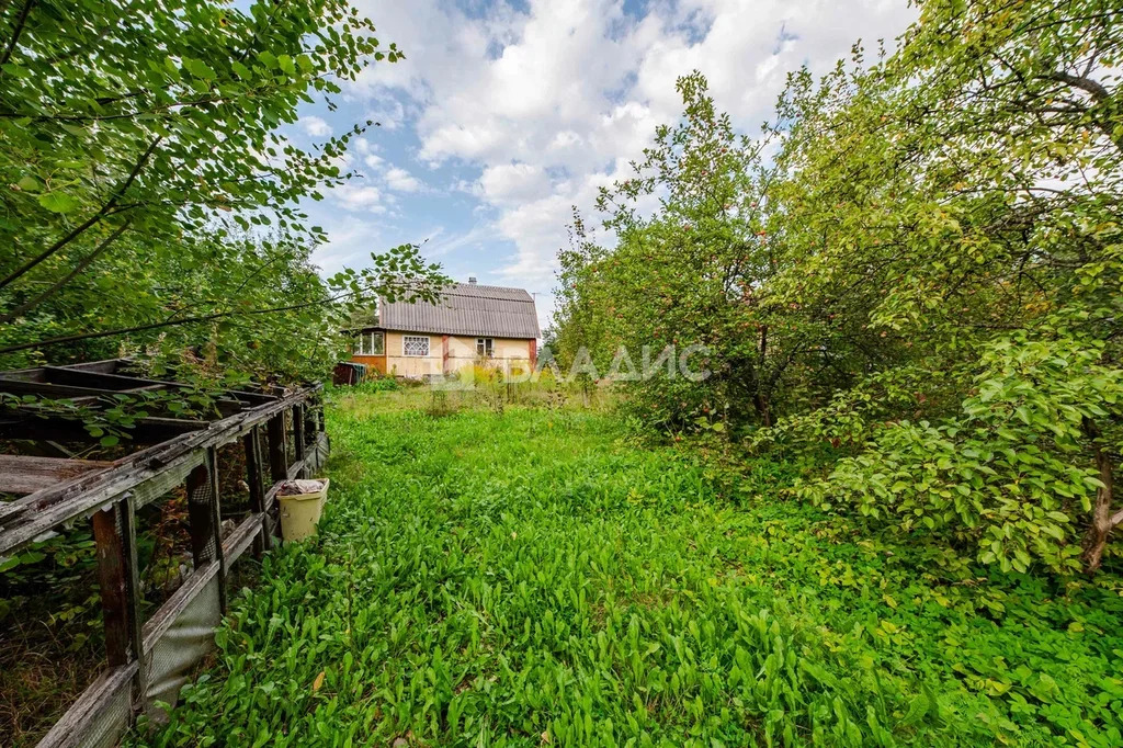 Всеволожский район, садоводческое некоммерческое товарищество ... - Фото 13