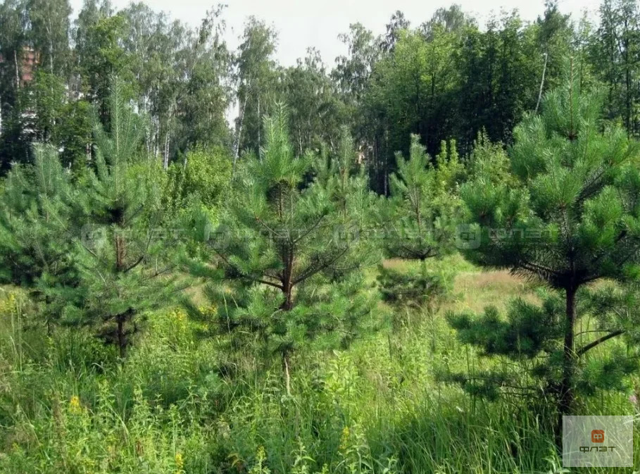 Продажа участка, Казань, ул. Амет-Хана Султана - Фото 5