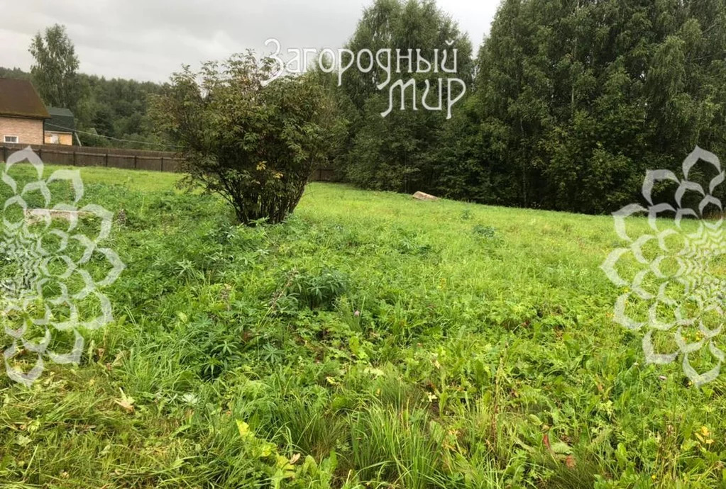 Продам участок, Ленинградское шоссе, 95 км от МКАД - Фото 3