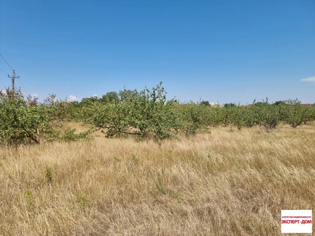 Продажа участка, Ломакин, Неклиновский район, ул. Новая - Фото 4