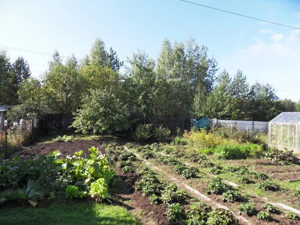 Снт екатеринбург широкая речка. СНТ Екатеринбург мечта. Сад Уралсистем Екатеринбург участок 308.