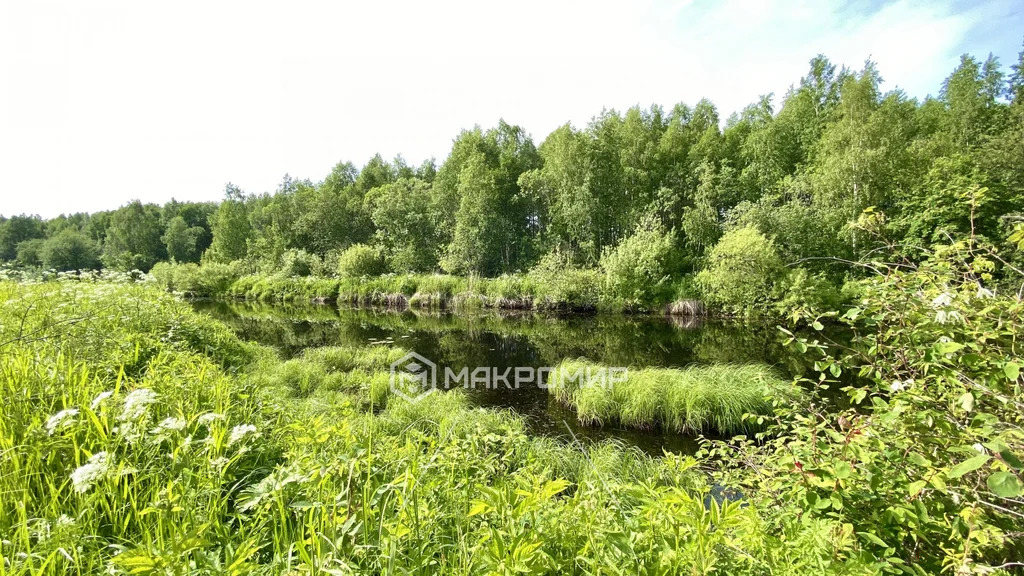 Продажа участка, Талаги, Приморский район - Фото 3