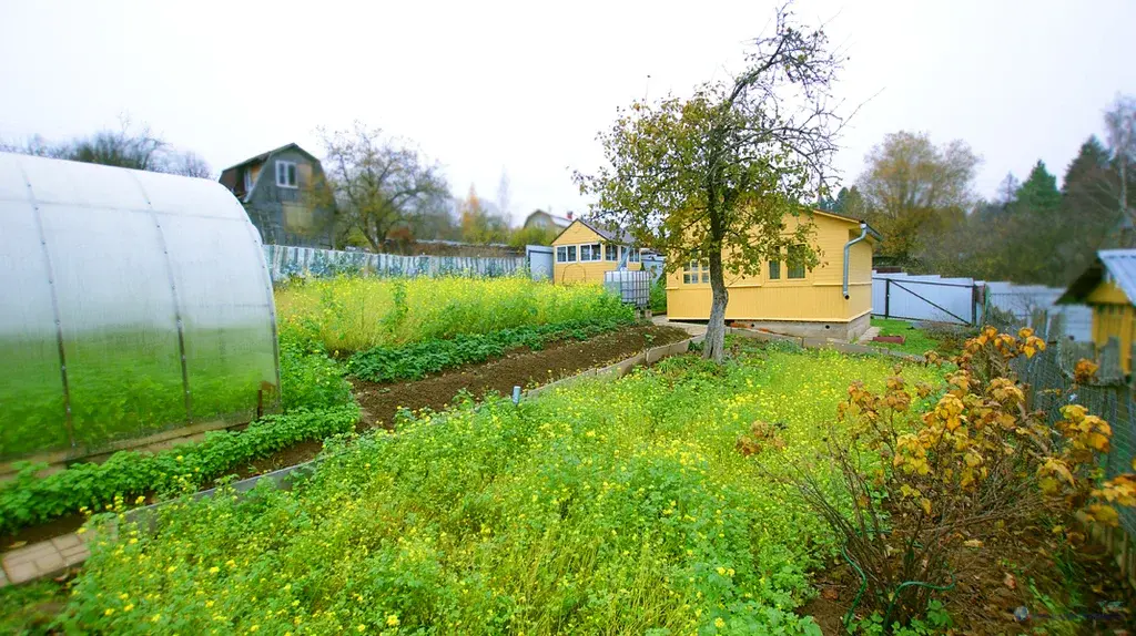 Дача в пригороде Волоколамск у д. Ченцы Волоколамского г.о. МО - Фото 10