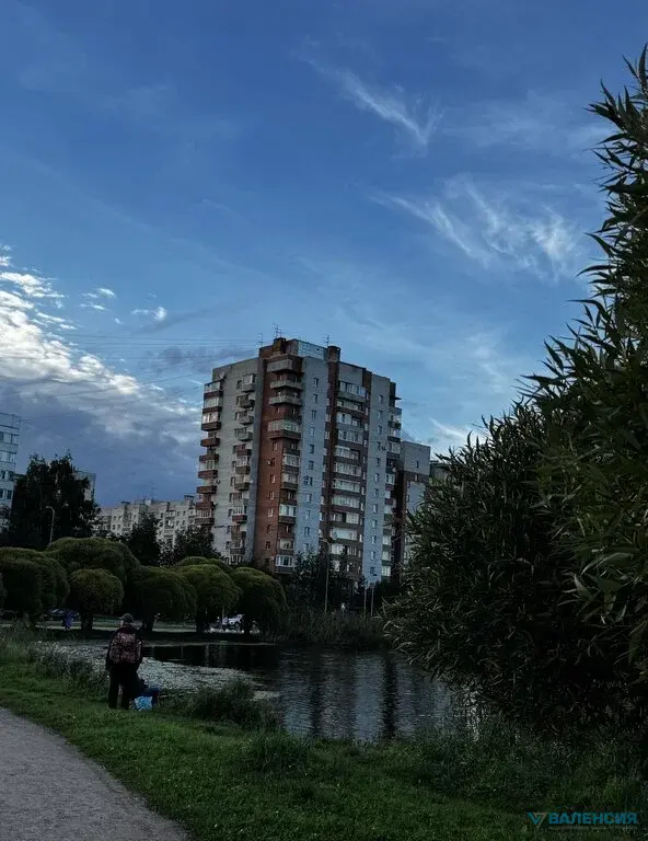 ПРЯМАЯ ПРОДАЖА 1 ком. кв. на пр. Просвещения, д.53, к.1, - Фото 19