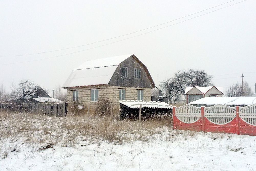 П Брасово Брянская Область Фото