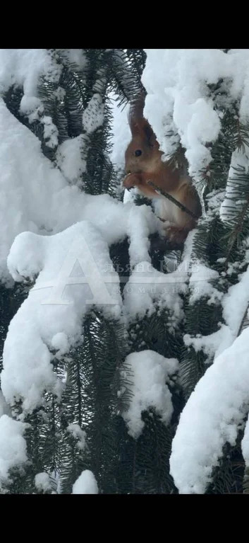 Продажа квартиры, Железноводск, ул. Чапаева - Фото 13