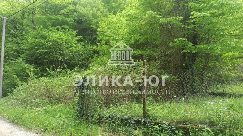 Продажа участка, Ольгинка, Туапсинский район, СНТ Успех - Фото 3