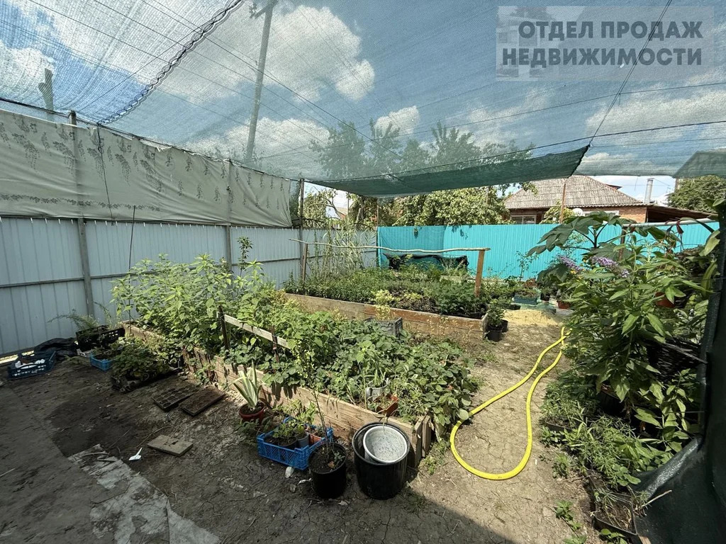 Объект 537372 - Фото 8