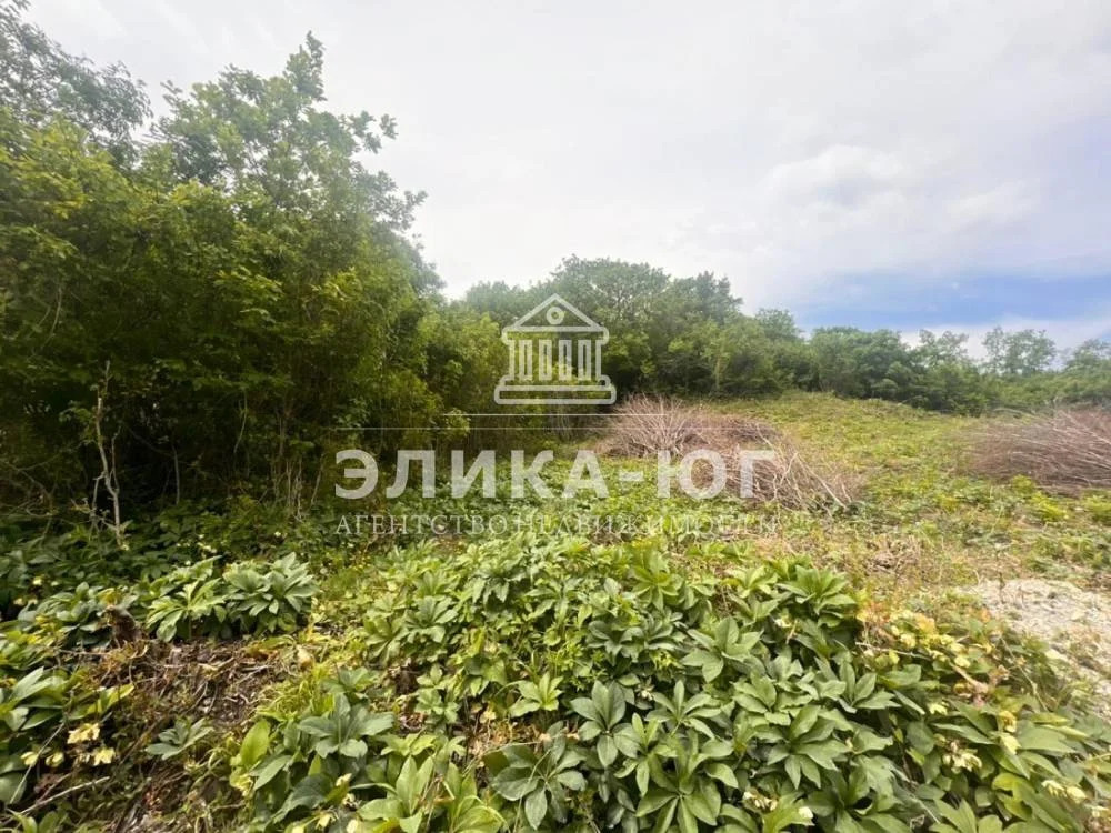 Продажа участка, Джубга, Туапсинский район, Персиковая ул. - Фото 1