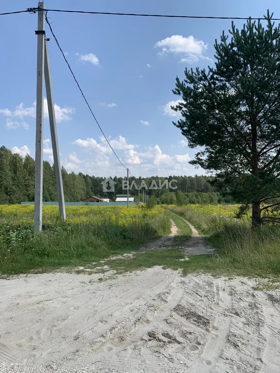 Судогодский район, деревня Михалёво, земля на продажу - Фото 3