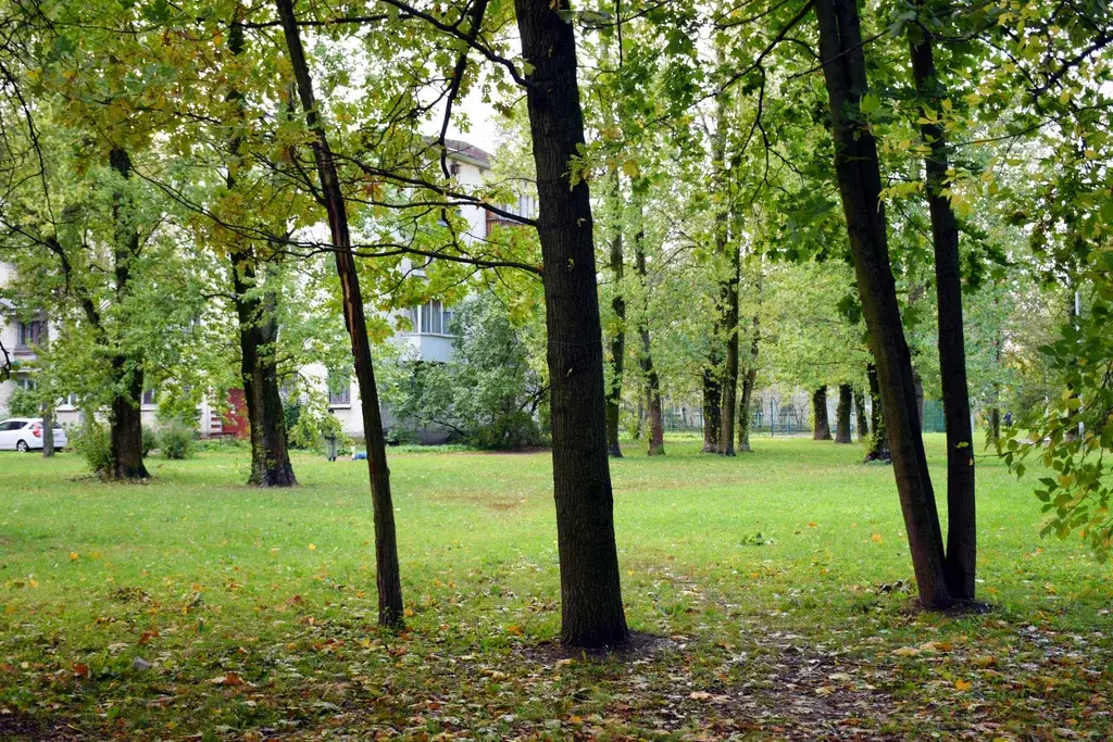 Уютная двушка в зелёном малоэтажном районе - Фото 17