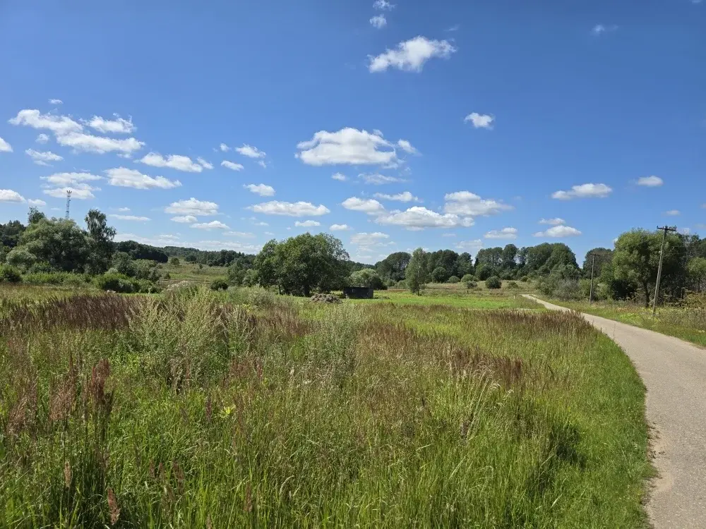 Продаю уч. 30 сот. с Семеновское - Фото 6