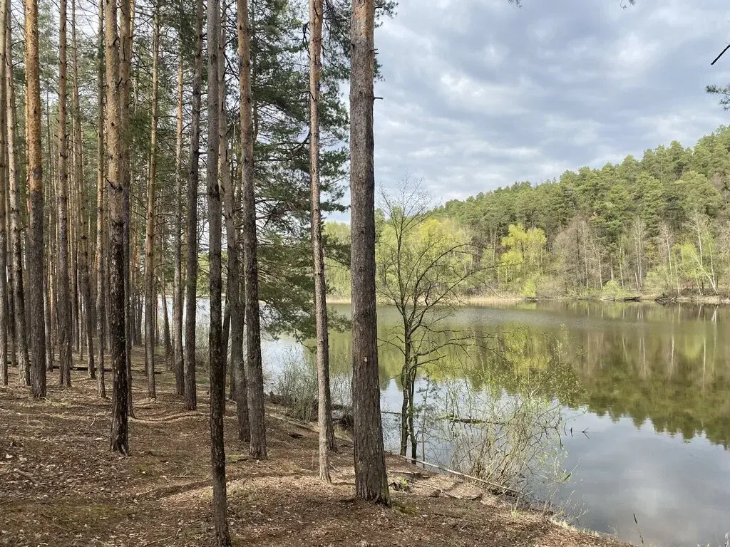 База отдыха "Голубой Залив" (Республика Татарстан, Лаишевский район) - Фото 1