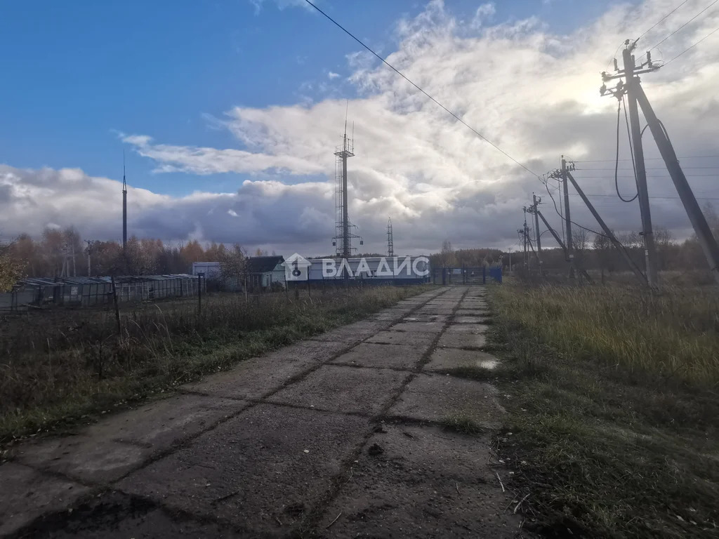 Суздальский район, село Новоалександрово,  земля на продажу - Фото 16