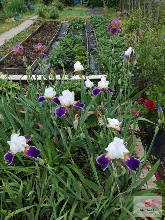 Продажа дома, Казань, тер. СНТ КГУ НПП им В.И.Ленина Лагерная - Фото 24