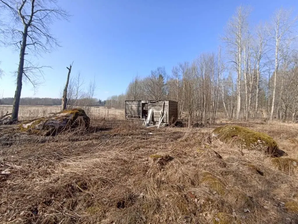 Участок в 100 м от озера Губановское - Фото 3