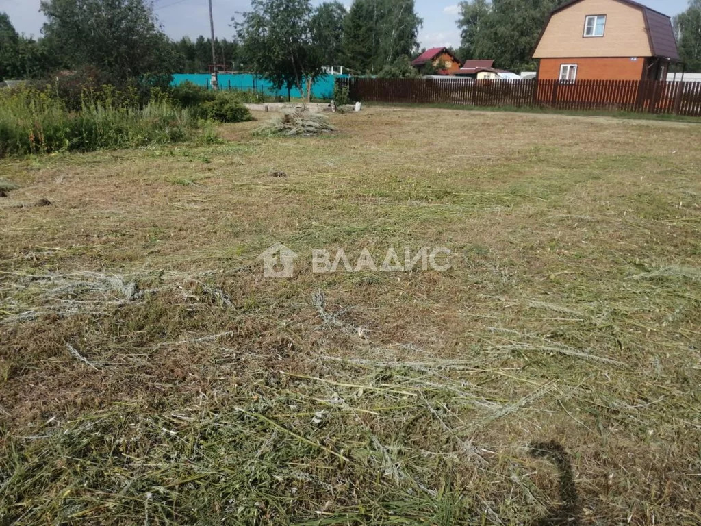 Новосибирский район, садовое товарищество Агро,  земля на продажу - Фото 3