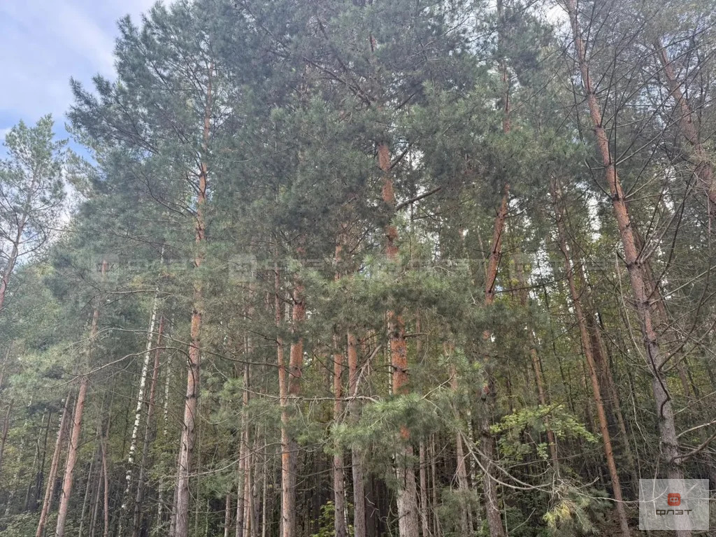 Продажа участка, Бима, Лаишевский район - Фото 20