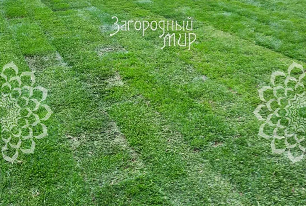 Продам участок, Щелковское шоссе, 24 км от МКАД - Фото 6