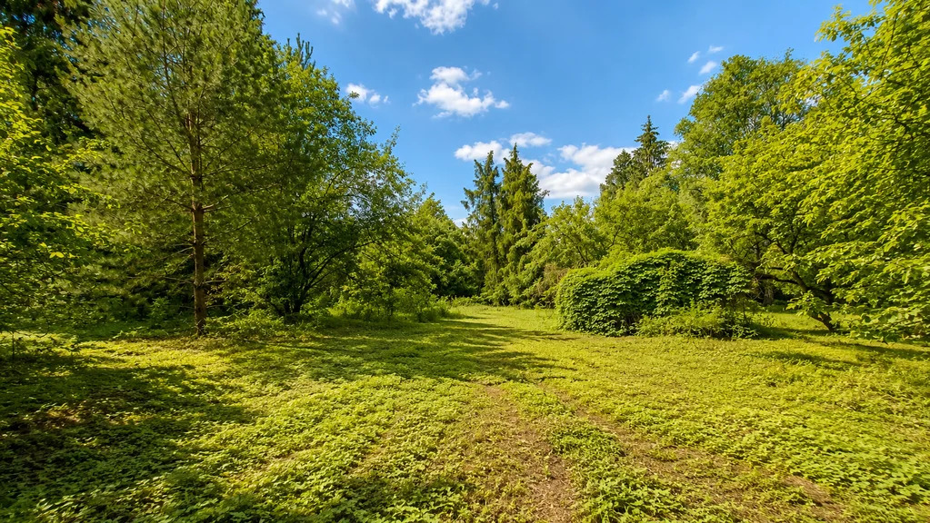 Продажа участка, Загорянский, Щелковский район, ул. Наречная - Фото 6