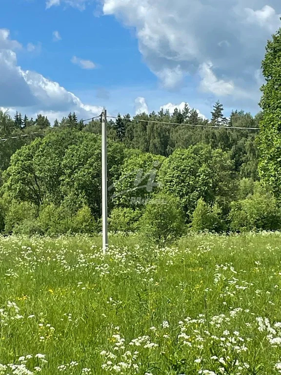 Продажа земельного участка, Старо, Рузский район, Старо д. - Фото 0