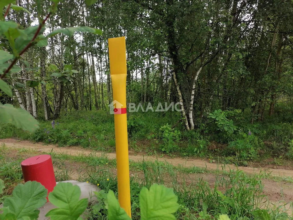 городской округ Владимир, Владимир, Октябрьский район, Селецкая улица, ... - Фото 6