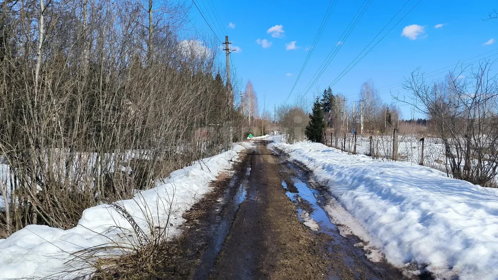 Продажа участка, Истринский район, СНТ Родник-4 - Фото 12