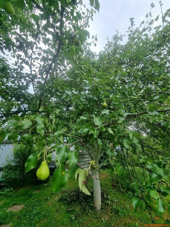 Продажа дома, Домодедово, Домодедово г. о., Московская обл - Фото 5