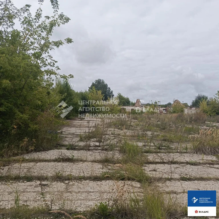 Продажа производственного помещения, Пертово, Чучковский район - Фото 10