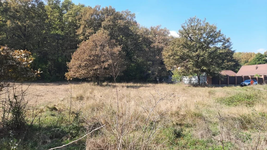 Продажа участка, Шапсугская, Абинский район, ул. Луговая - Фото 4