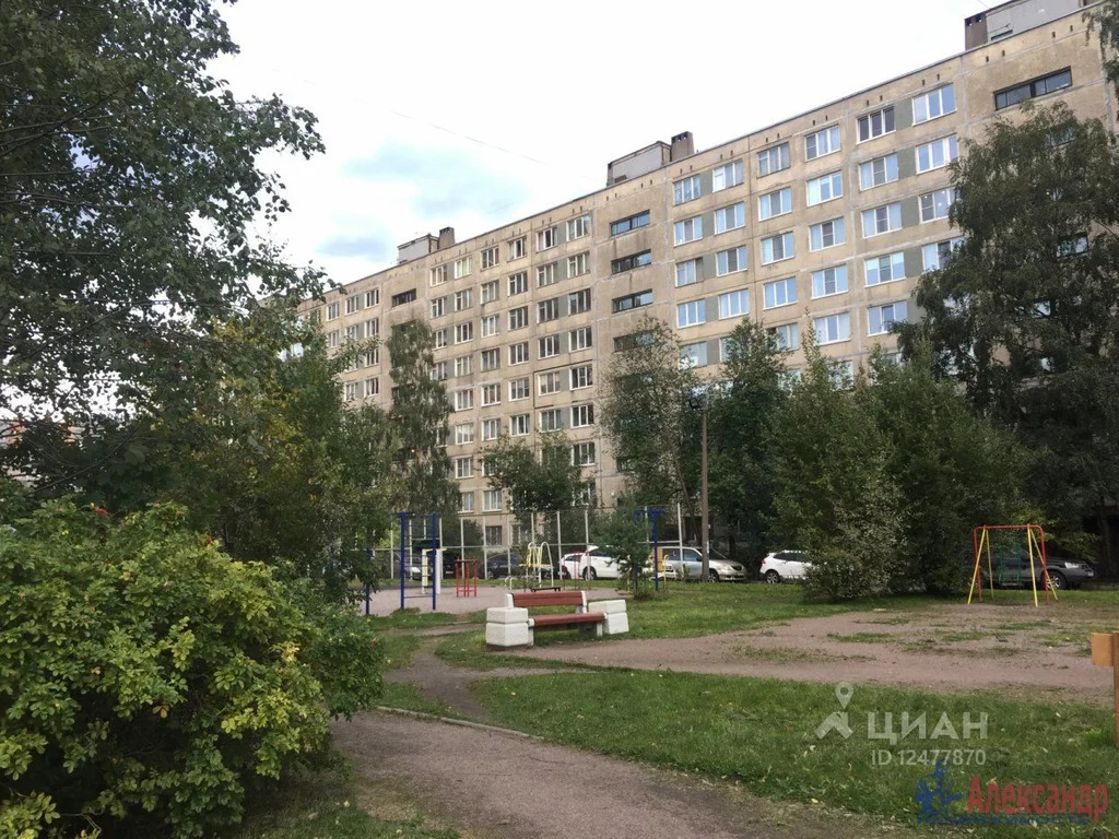 Санкт петербург проспект солидарности