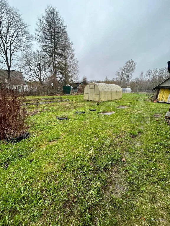 Продажа дома, Большие Крупели, Лужский район, Центральная улица - Фото 4