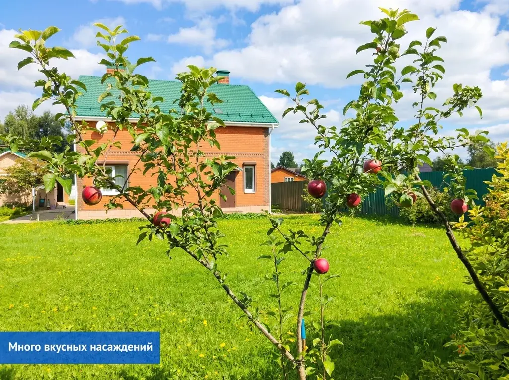 Продается участок с домом деревня Сенино - Фото 3