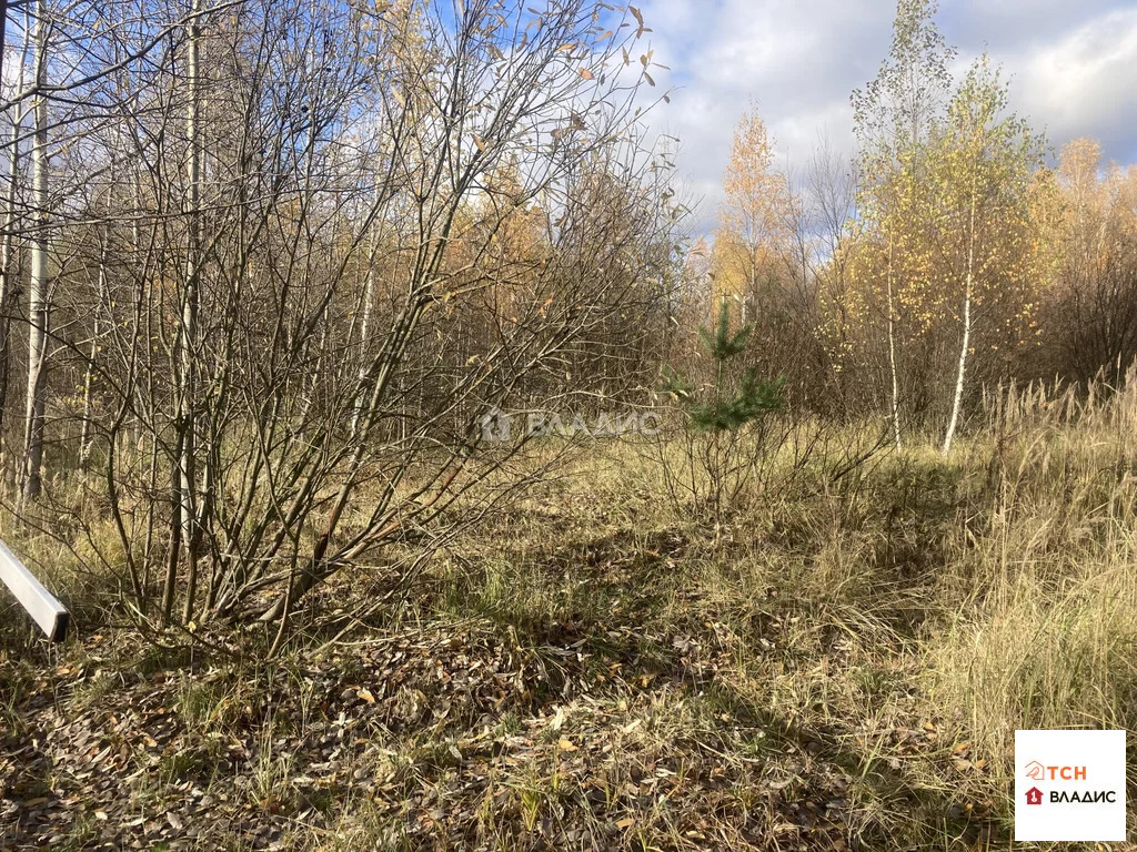 Продажа участка, Кабаново, Богородский г. о. - Фото 1