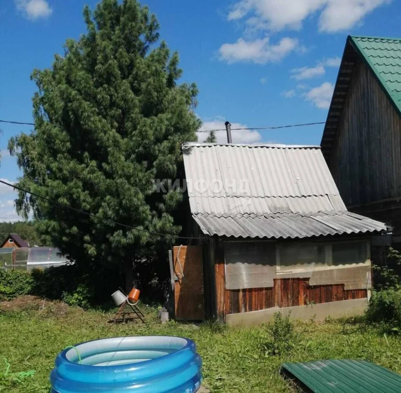 Продажа дома, Восточная, Тогучинский район - Фото 40