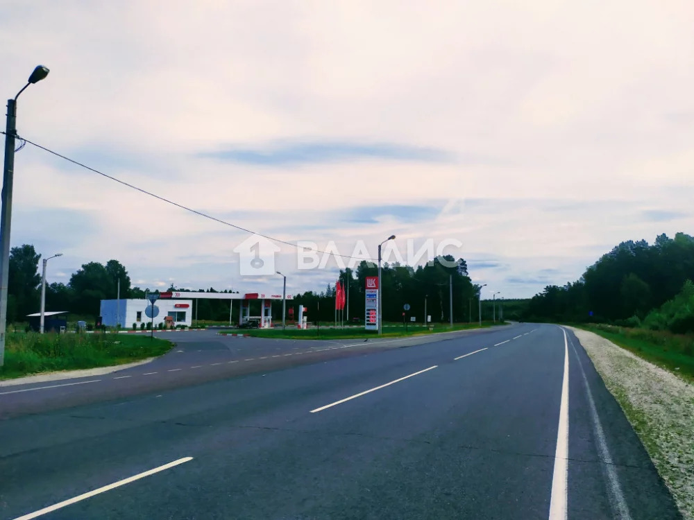 Земельный участок на продажу, Судогодский район, село Ликино - Фото 3