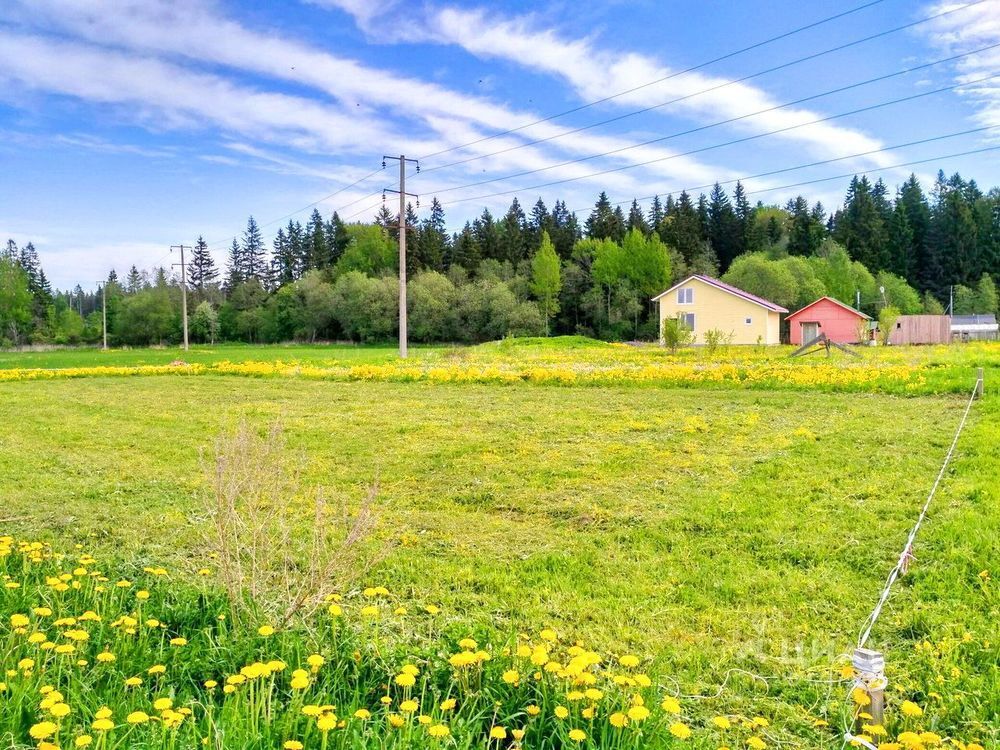 Купить Участок В Жабино Гатчинский Район