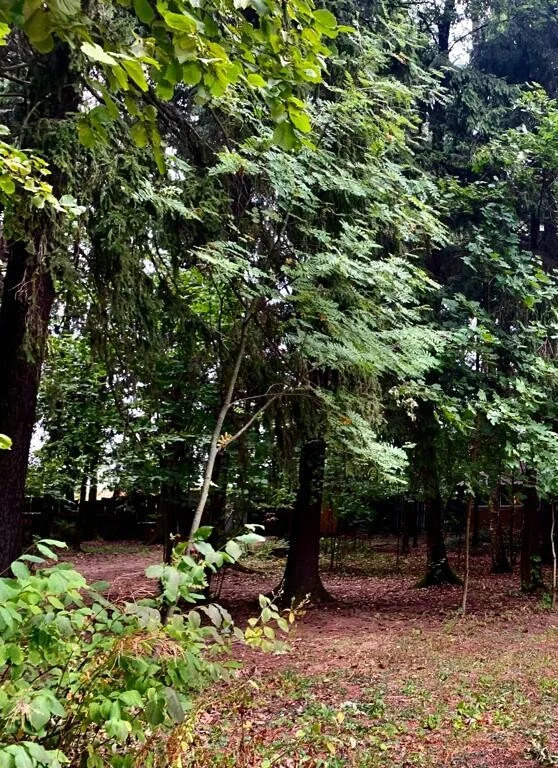 Продажа участка, Лобня, Кооперативная улица - Фото 7