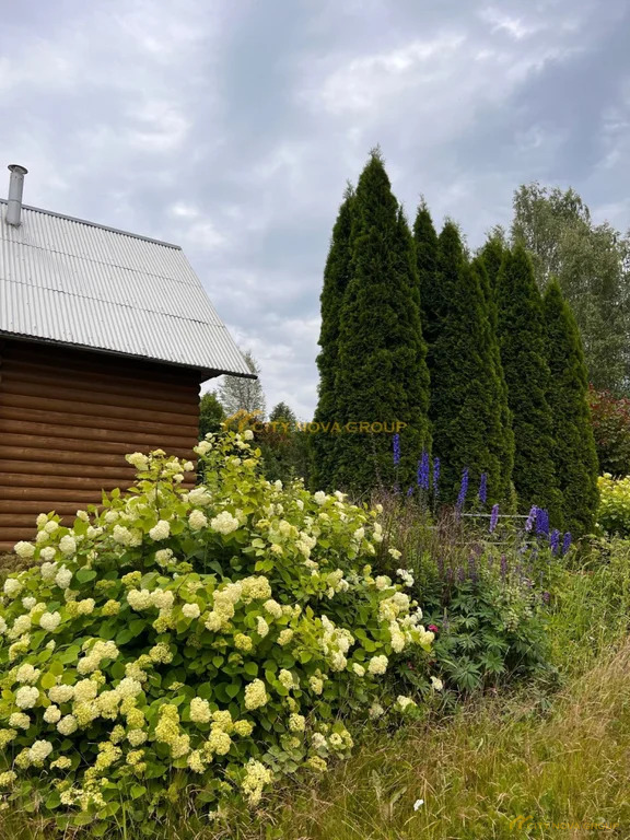 Продажа дома, Бор, Домодедово г. о. - Фото 29