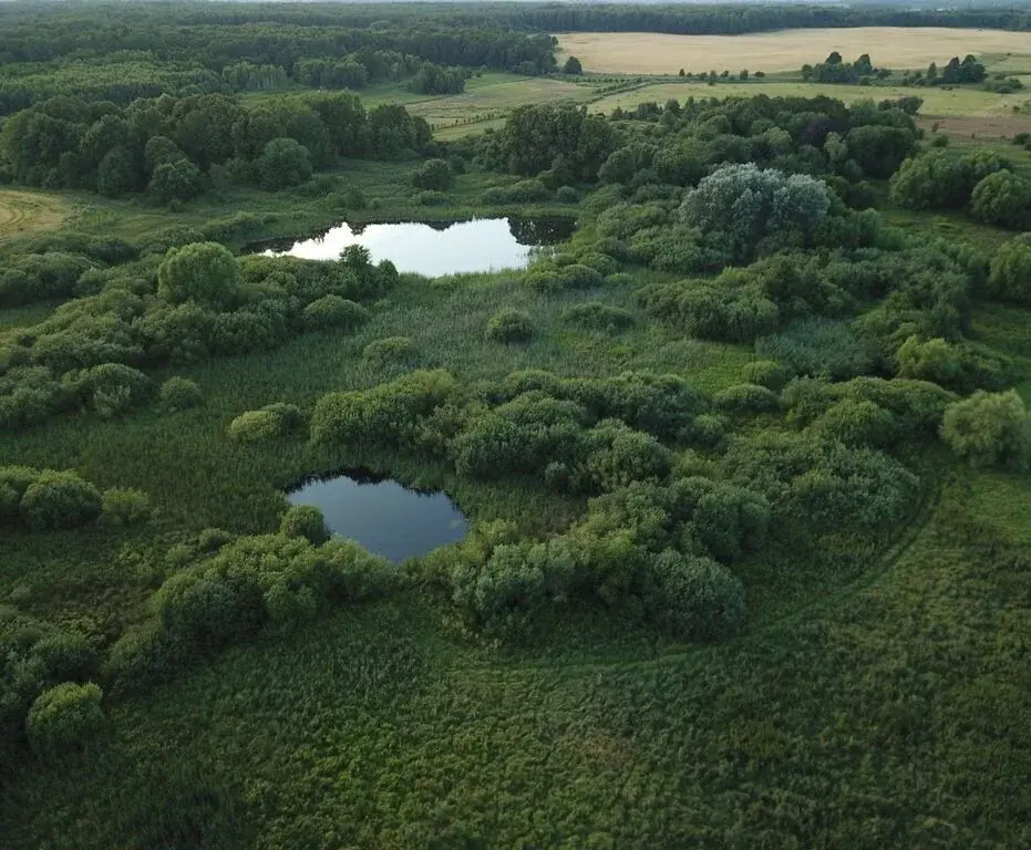 Участок 19 га (СНТ, ДНП) - Фото 0