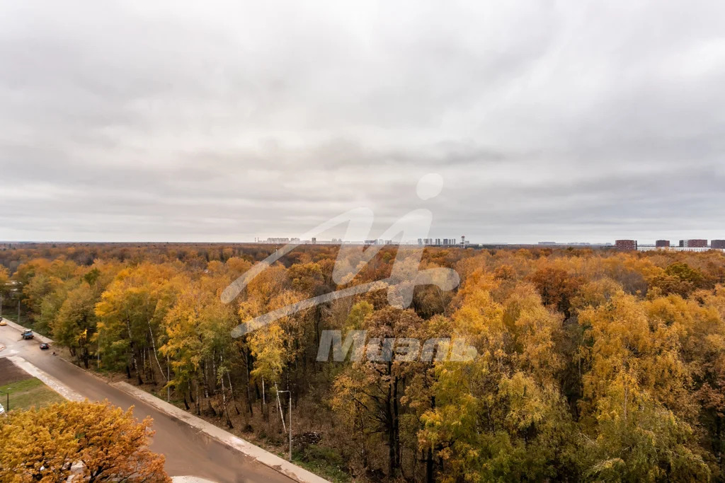 Продажа квартиры, Лобановский Лес ул. - Фото 2