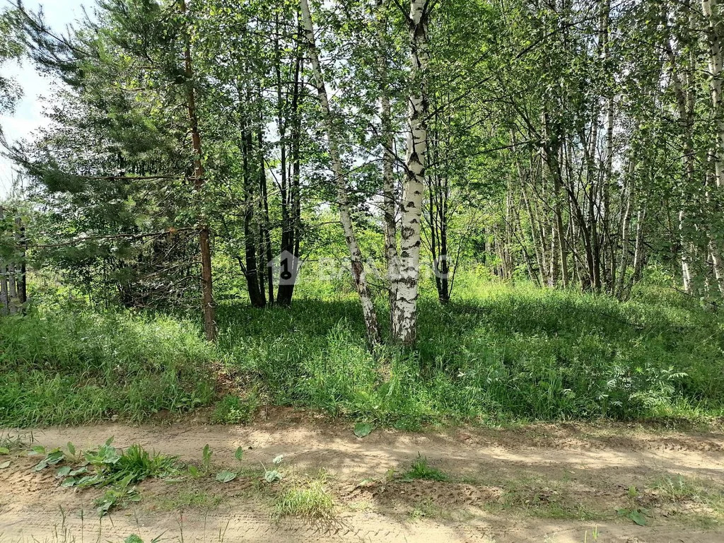 городской округ Владимир, Владимир, Октябрьский район, Селецкая улица, ... - Фото 5