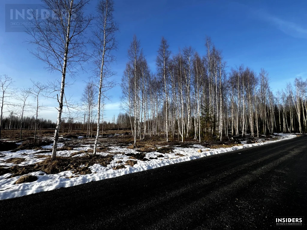 Продажа участка, Никитилово, Всеволожский район - Фото 3